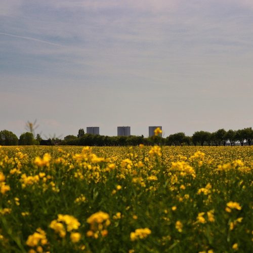 fehmarn-5062805_1280